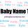 The Baby Name Tag - Extended