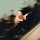 Album Review: "Singular: Act I" by Sabrina Carpenter